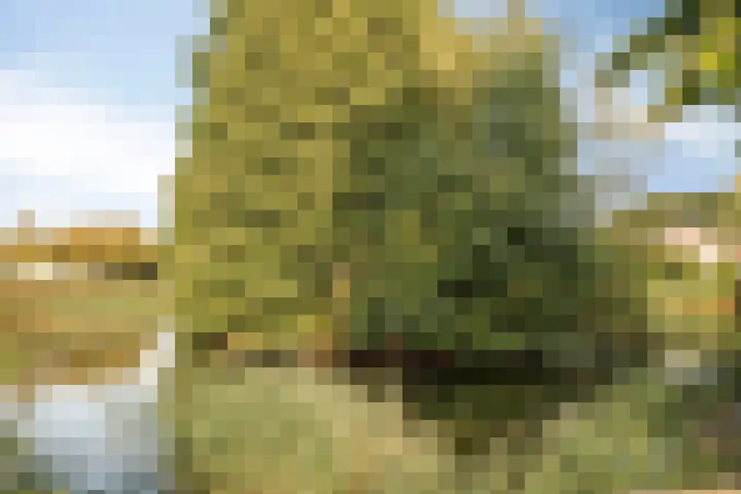 Het Veen 15 Lichtenvoorde thumbnail 42