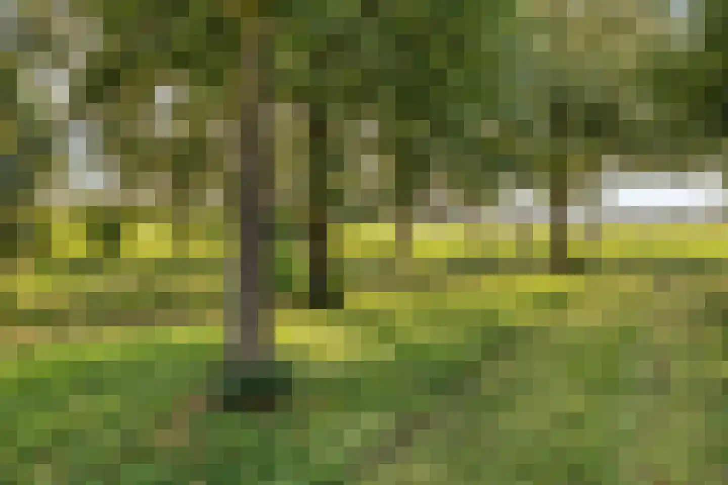 Het Veen 15 Lichtenvoorde thumbnail 43
