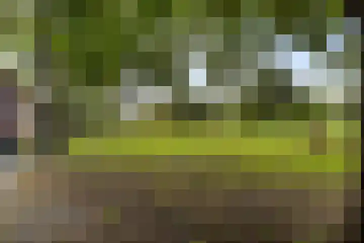 Het Veen 2 Zuidbroek thumbnail 10
