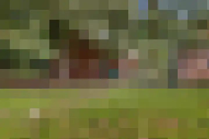 Het Veen 2 Zuidbroek thumbnail 11