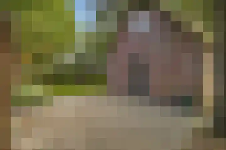 Het Veen 2 Zuidbroek thumbnail 12