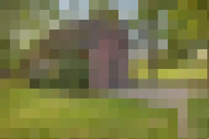 Het Veen 2 Zuidbroek thumbnail 13