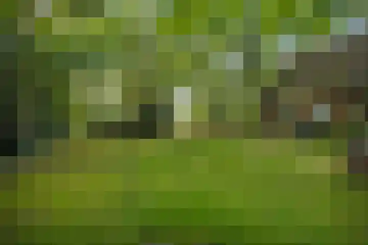 Het Veen 2 Zuidbroek thumbnail 14