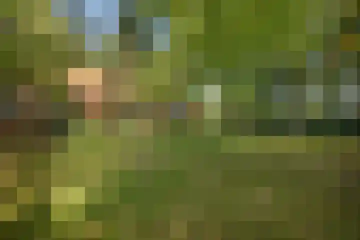 Het Veen 2 Zuidbroek thumbnail 15
