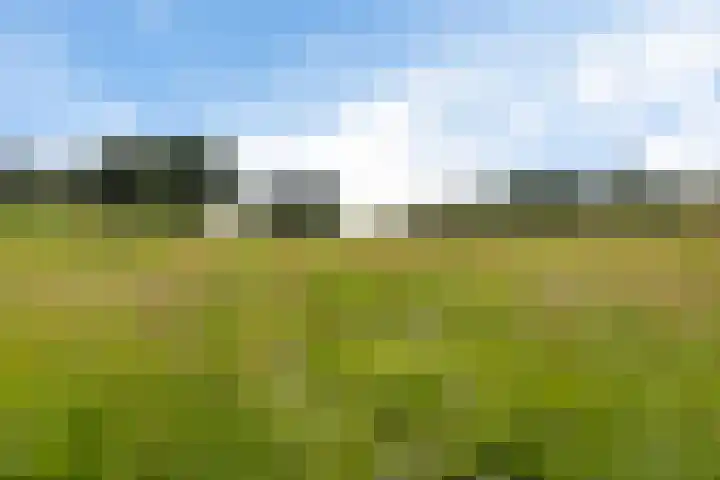 Het Veen 2 Zuidbroek thumbnail 17