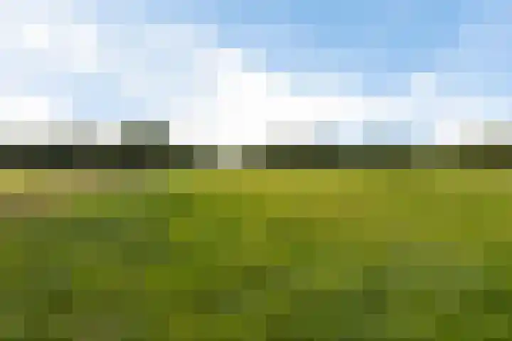 Het Veen 2 Zuidbroek thumbnail 18