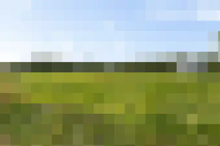 Het Veen 2 Zuidbroek thumbnail 19