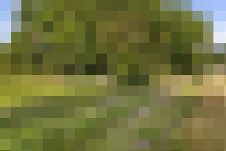 Het Veen 2 Zuidbroek thumbnail 20