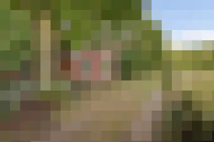 Het Veen 2 Zuidbroek thumbnail 21