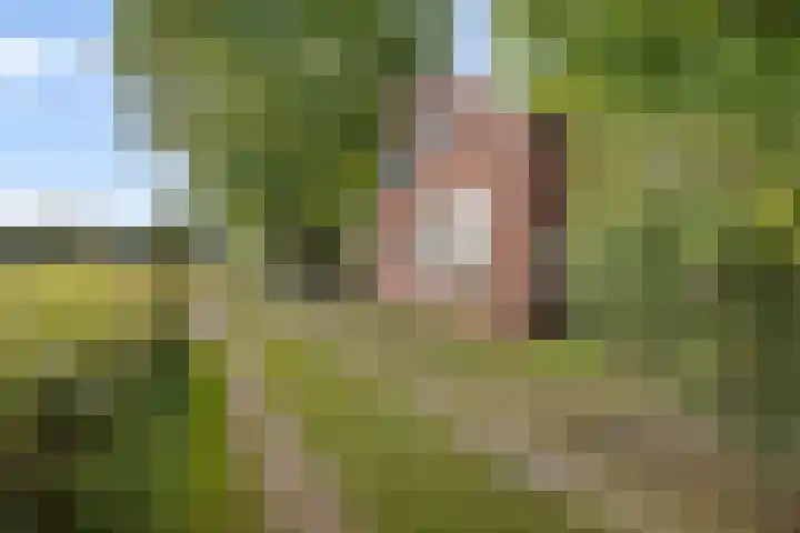 Het Veen 2 Zuidbroek thumbnail 23