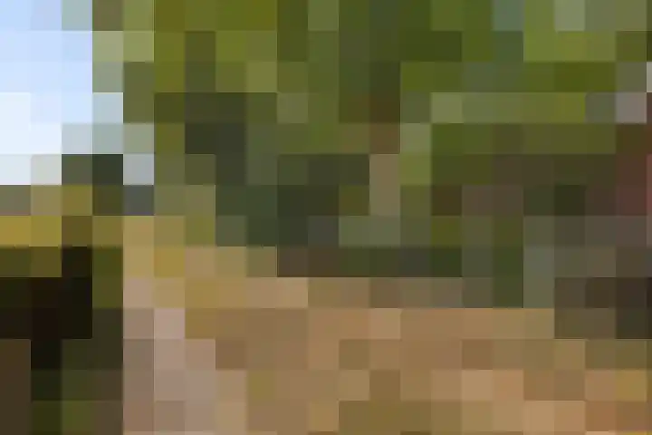 Het Veen 2 Zuidbroek thumbnail 24