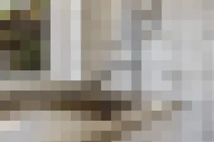Het Veen 2 Zuidbroek thumbnail 36