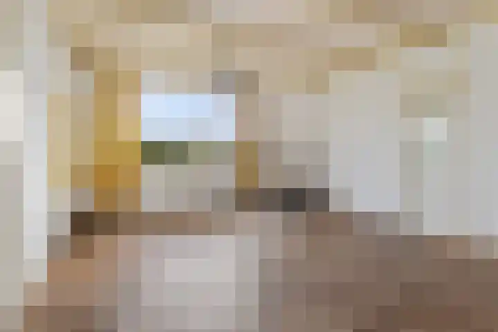 Het Veen 2 Zuidbroek thumbnail 37