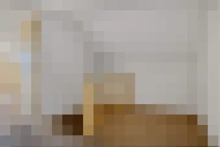 Het Veen 2 Zuidbroek thumbnail 44