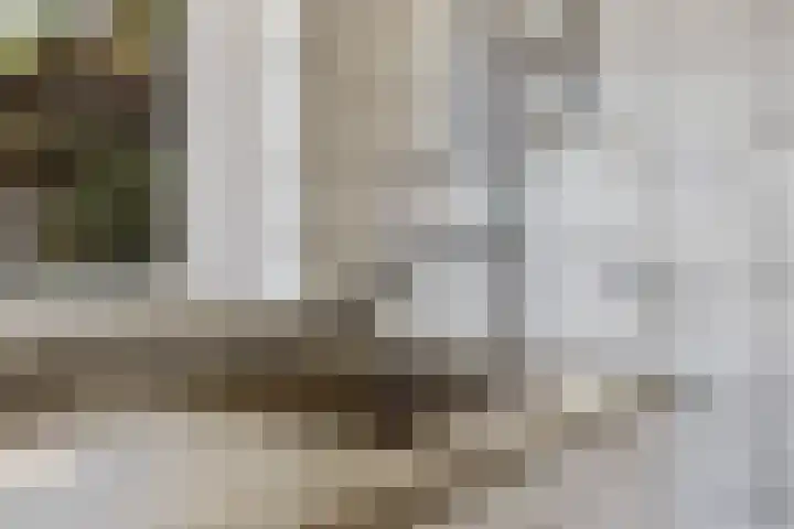 Het Veen 2 Zuidbroek thumbnail 5