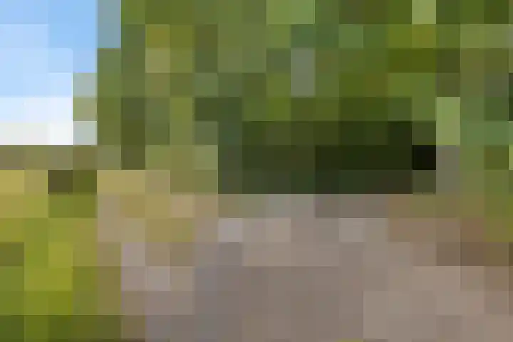 Het Veen 2 Zuidbroek thumbnail 6