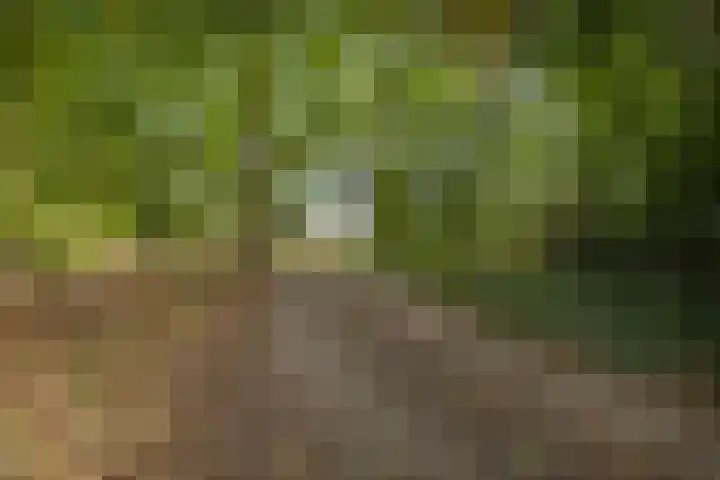 Het Veen 2 Zuidbroek thumbnail 7