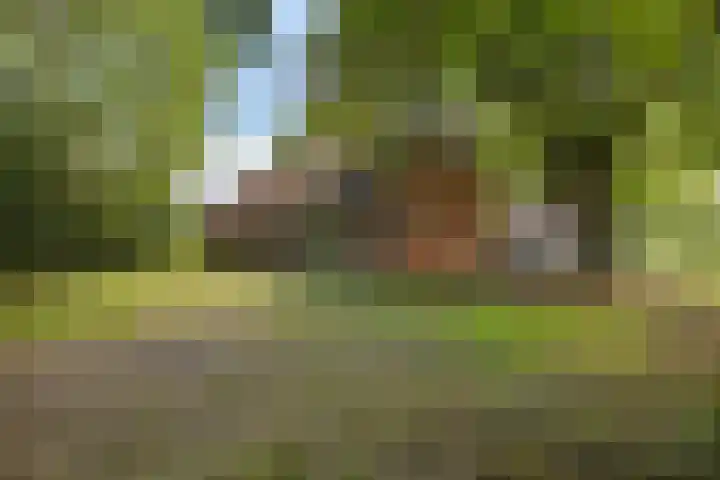 Het Veen 2 Zuidbroek thumbnail 9