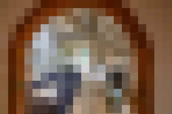 Het Veen 3 Zuidbroek thumbnail 12