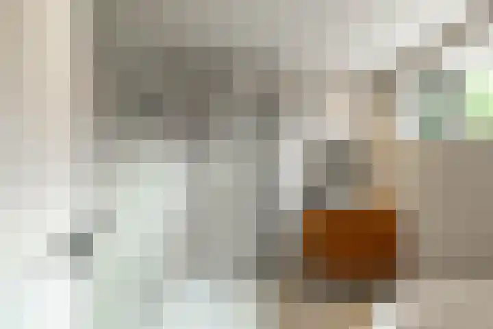 Het Veen 3 Zuidbroek thumbnail 15