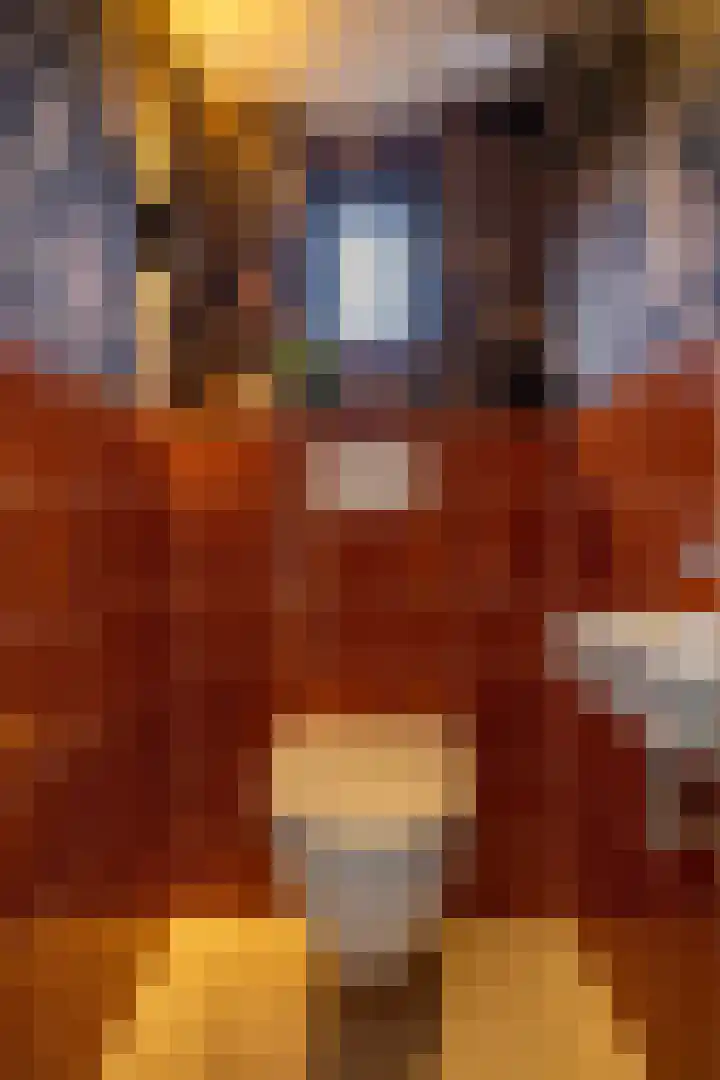 Het Veen 3 Zuidbroek thumbnail 17