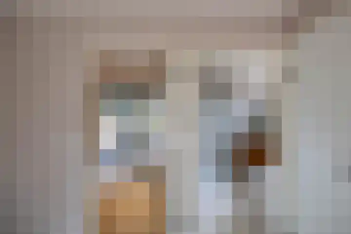 Het Veen 3 Zuidbroek thumbnail 18