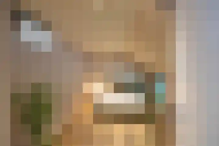 Het Veen 3 Zuidbroek thumbnail 26