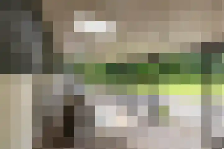 Het Veen 3 Zuidbroek thumbnail 27