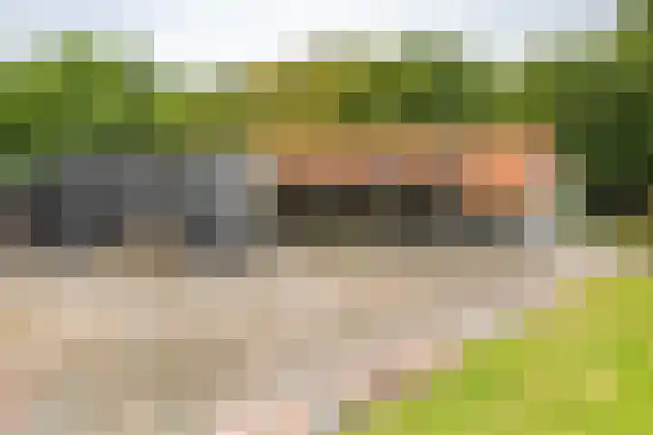 Het Veen 3 Zuidbroek thumbnail 29