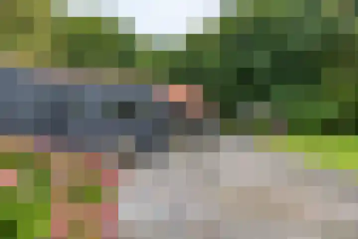 Het Veen 3 Zuidbroek thumbnail 31