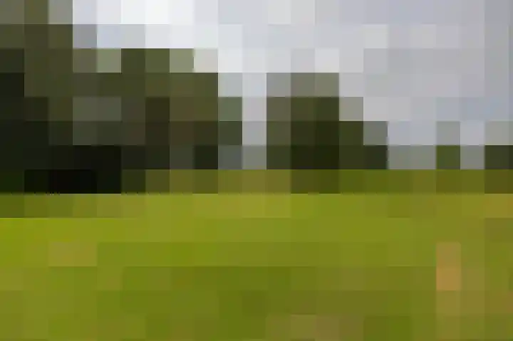 Het Veen 3 Zuidbroek thumbnail 32
