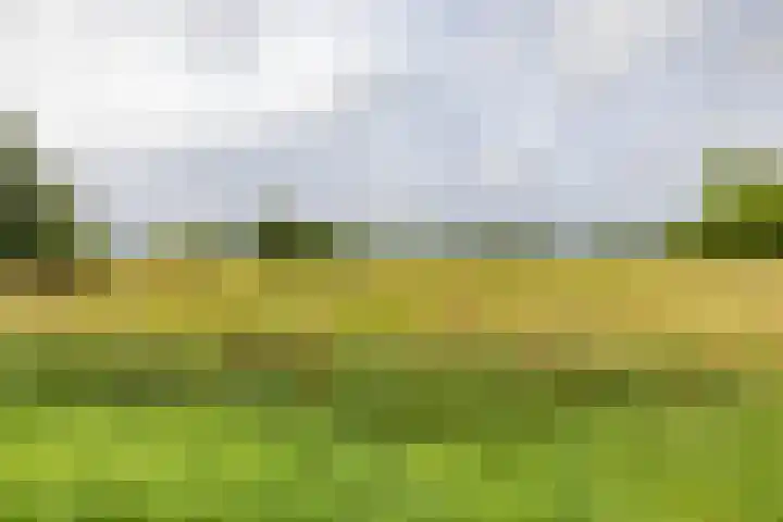Het Veen 3 Zuidbroek thumbnail 33