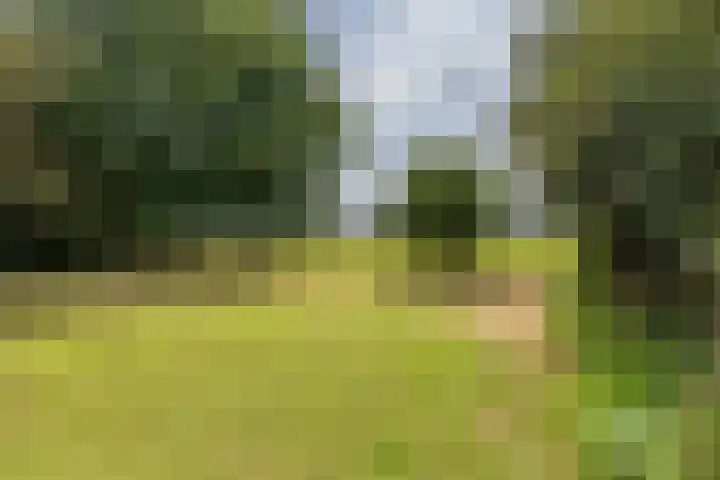 Het Veen 3 Zuidbroek thumbnail 34