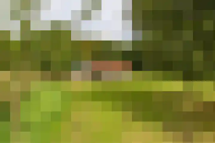 Het Veen 3 Zuidbroek thumbnail 35