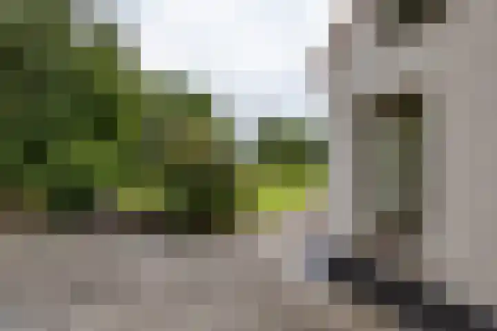 Het Veen 3 Zuidbroek thumbnail 36