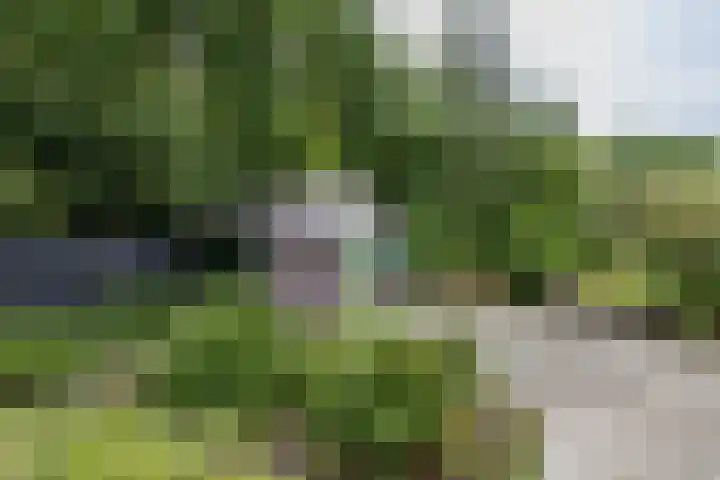 Het Veen 3 Zuidbroek thumbnail 38