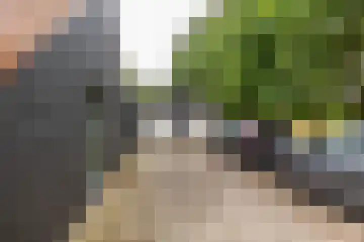 Het Veen 3 Zuidbroek thumbnail 39