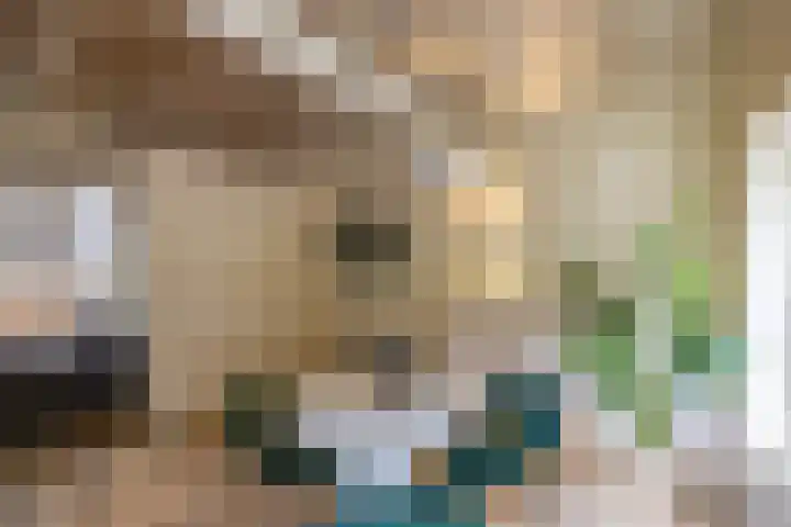 Het Veen 3 Zuidbroek thumbnail 4