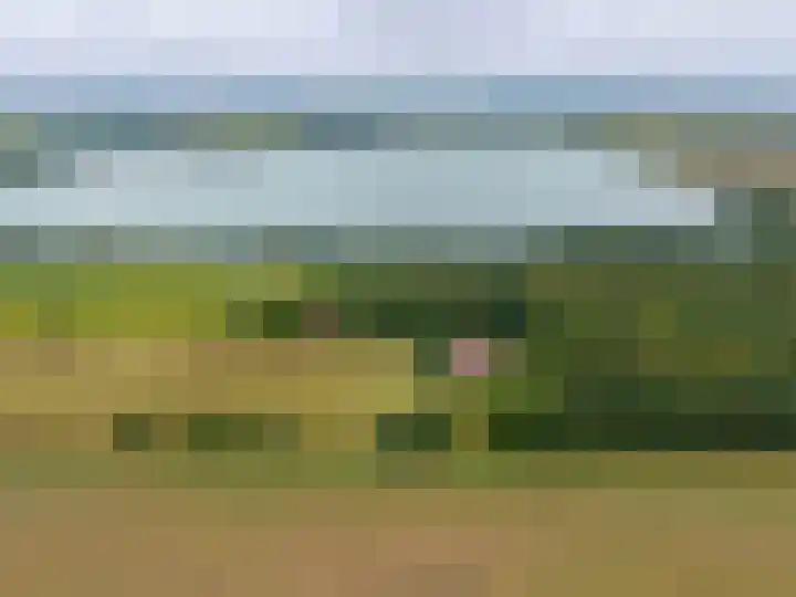 Het Veen 3 Zuidbroek thumbnail 41