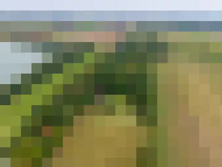 Het Veen 3 Zuidbroek thumbnail 42