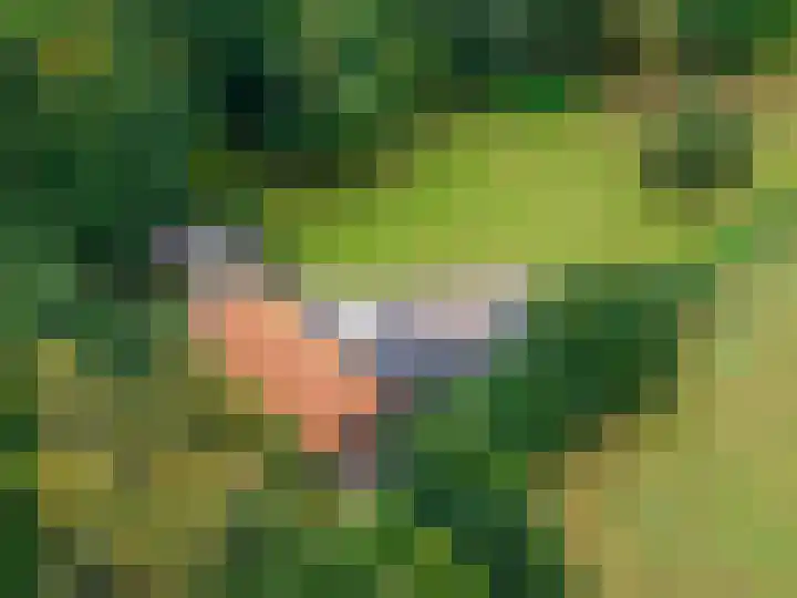 Het Veen 3 Zuidbroek thumbnail 43