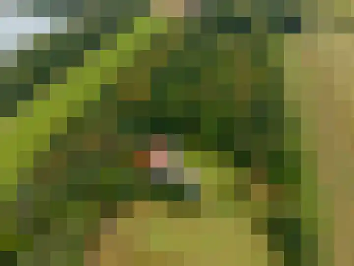 Het Veen 3 Zuidbroek thumbnail 45