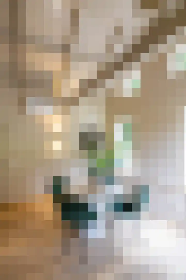 Het Veen 3 Zuidbroek thumbnail 5