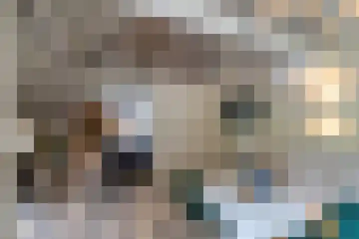 Het Veen 3 Zuidbroek thumbnail 6