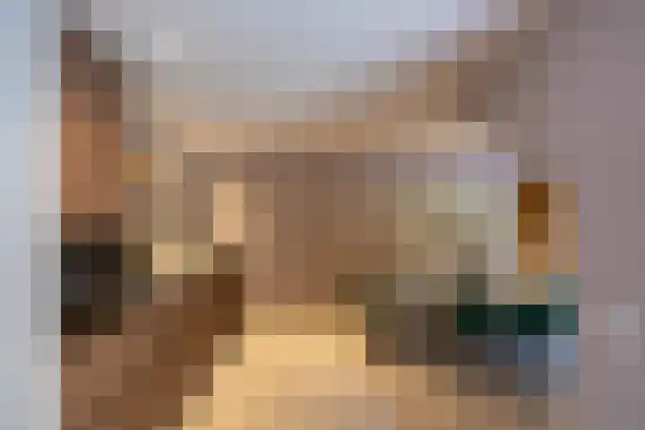 Het Veen 3 Zuidbroek thumbnail 9
