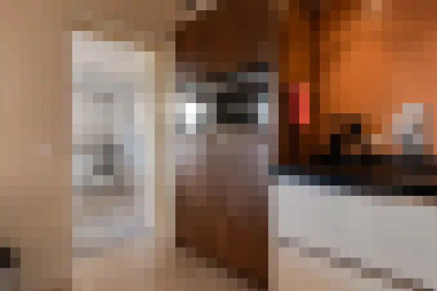 Het Veen 4 Lichtenvoorde thumbnail 23