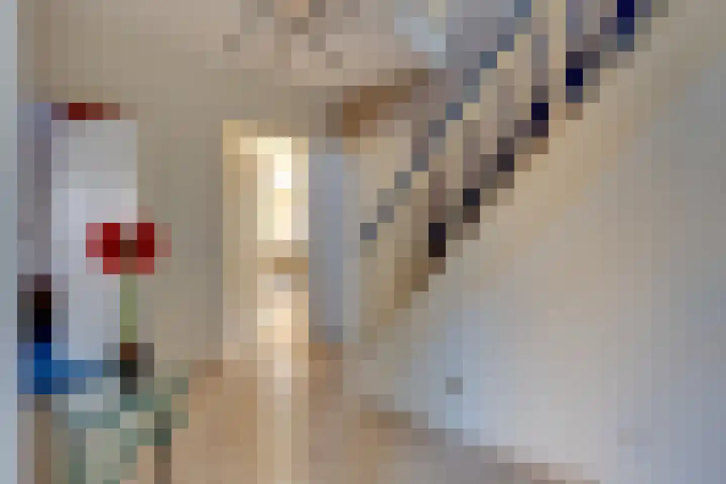 Het Veen 4 Lichtenvoorde thumbnail 24