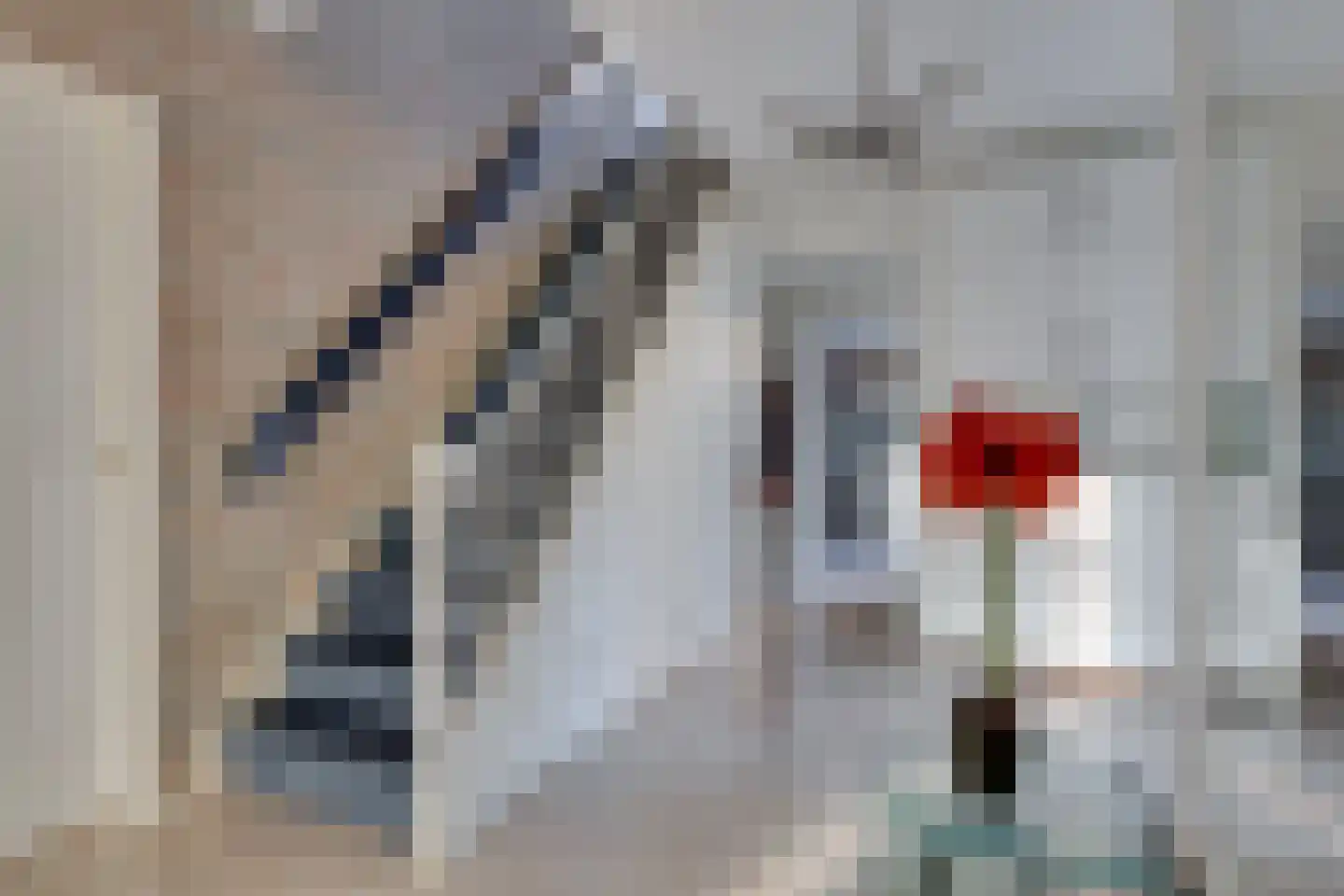 Het Veen 4 Lichtenvoorde thumbnail 35
