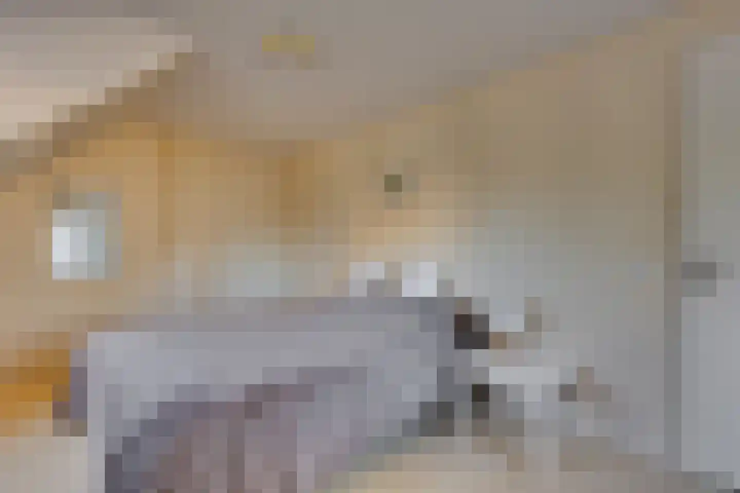 Het Veen 4 Lichtenvoorde thumbnail 37