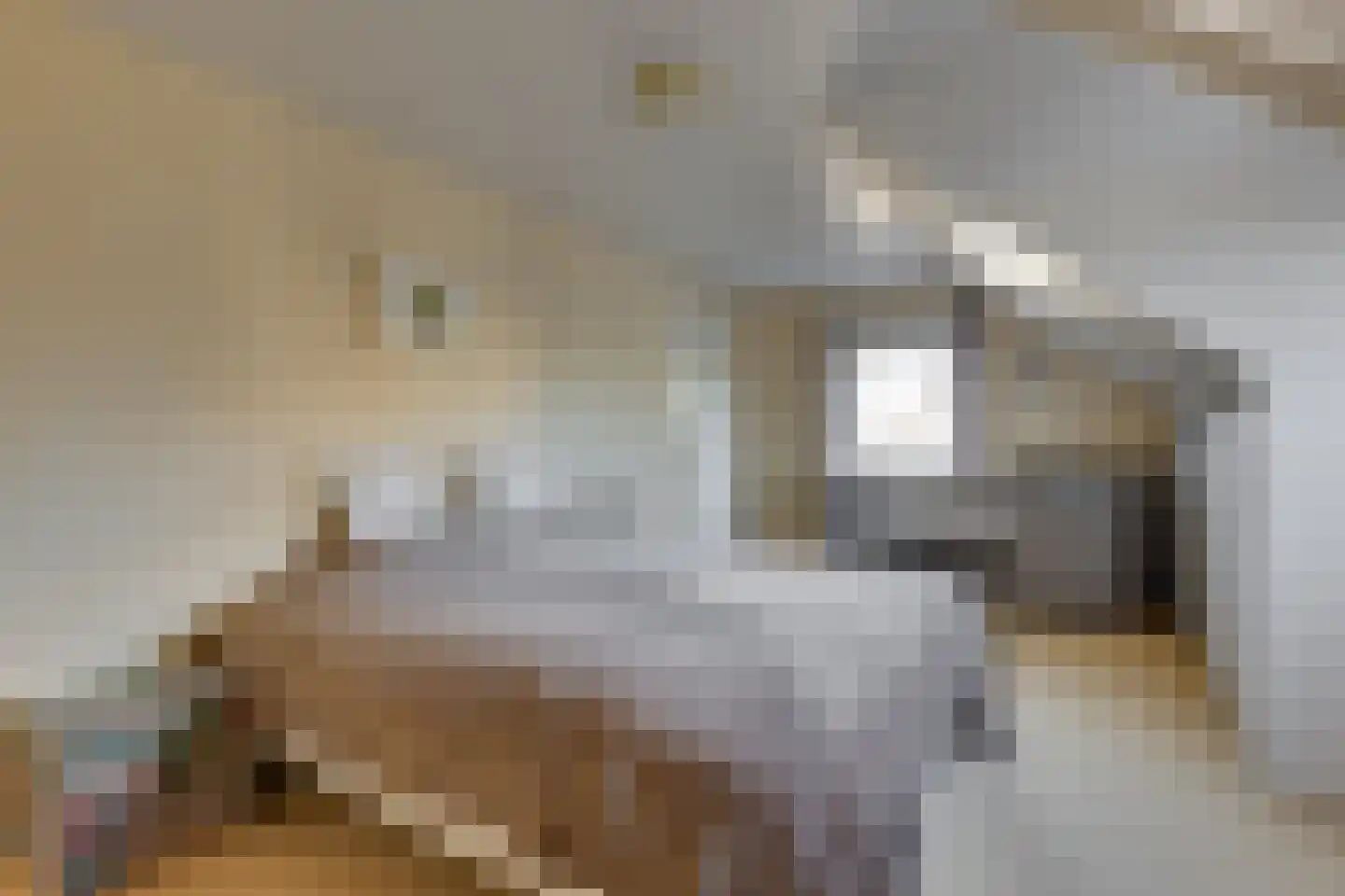 Het Veen 4 Lichtenvoorde thumbnail 38
